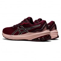 Кросівки для бігу жіночі Asics GT-1000 11 Cranberry/Pure silver